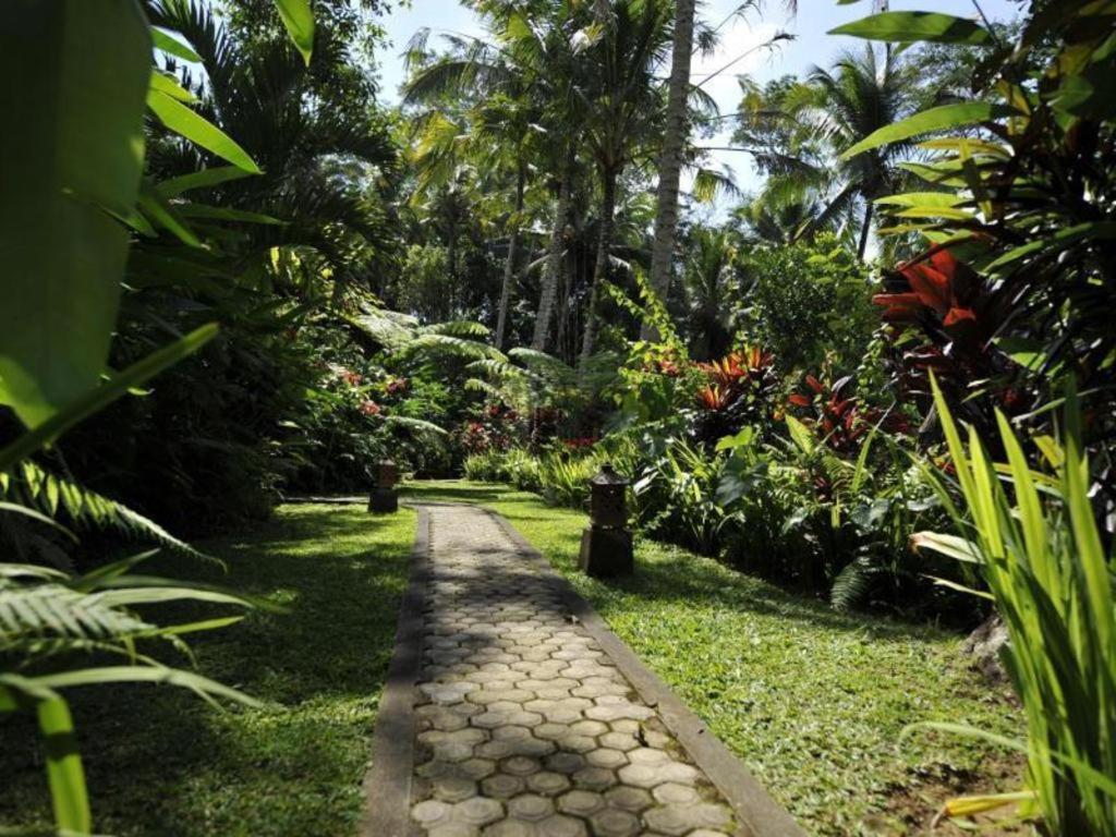 Alam Sari Keliki Resort & Spa Tegallalang  Kültér fotó